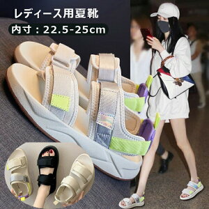 fB[X T_ }WbNe[v ~ C Xj[J[ ʋC  r[`T_ ItBX ʋ X|[cT_ r Ȃ AEghA ʊw X|T JWA u[c 