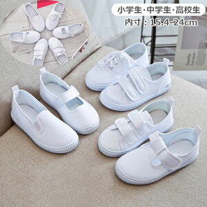 LbYC qC C wAwAZ YbNC _XV[Y zCg ̎q j̎q 升AXs[`ReXgAV[  c̕ o n C LbYC 15.4cm-24.5cm V