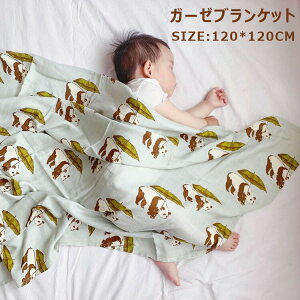 |zc _uK[[Pbg wK[[ V  zc P[v zc |zc zc 鋃΍ Vѕz LOBe oY oYj uPbg qp oX[u 