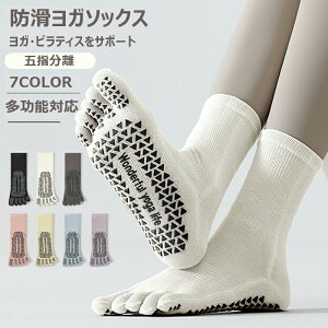 C fB[X K\bNX 5{w ~ 5{w\bNX ig Ƃ seBX t  H C O  ȍ X|[c  K jO\bNX X|[c\bNX 