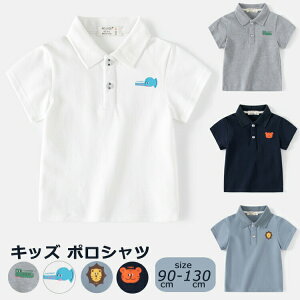 |Vc LbY  LbY Vc j̎q ėpVc wZp XN[Vc ʊwp |Vc ʉ ʊw ct ۈ牀 w ĕ  WjA LbY tH[}   