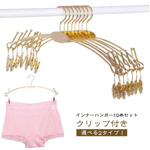 10本セット 下着ハンガー クリップハンガー 洗濯ハンガー ステンレス クリップ付き すべらない 小物ハンガー 物干しハンガー 型崩れ防止 跡がつかない スリム 軽量 省スペース おしゃれ 靴