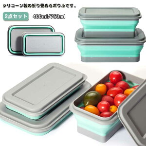 2点セット 折りたたみ シリコンボウル 400ml/750ml 蓋つき 折畳みボウル 折り畳み食器 軽量 持ち運び 携帯ポータブル フードボウル キャンプ アウトドア 旅行 お出かけ 冷蔵庫 電子レンジ対応