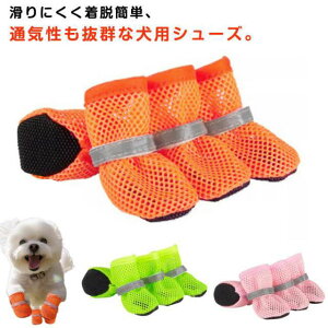 4Zbg  C  ybgV[Y p hbOV[Y ɂ ̌C bVf ʋC EȒP U y _炩 ^ ^ ^ U AEghA pC h~ 