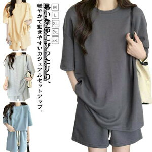 [EFA ㉺Zbg fB[X ZbgAbv   TVc V[gpc ㉺ 2_Zbg  pW} iCgEFA Q W[W l JWA X|[cEFA 