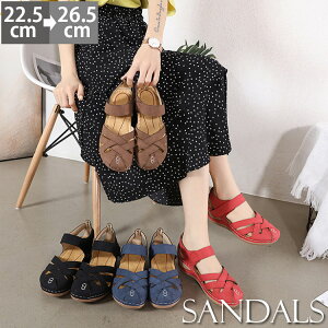 T_rEFbW\[RtH[gT_T_fB[Xq[EFbW\[Xgbvɂ傫TCY5cmy