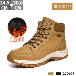 Xm[u[cYu[c[gu[chh24.5cm`29.0cm傫TCYkChCEB^[u[chۉNуV[gu[cCȂӂӂ~pNѕےg