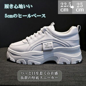 Xj[J[fB[XꔒV[NbgV[YEH[LOV[YJWAV[Y_bhXj[J[yʒʊwʋΕ₷؍rgAbv₷