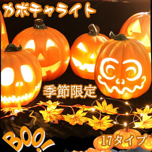 pvLCgJ{`tڂᕵ͋CnEBnEBuڂჂ`[ttC~l[VhЃObYlCIuWF֎q