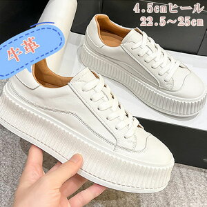 CfB[XvvC^Cʊwʋ΃t@bVyʗsCJWAyʒʋC_炩풅ptĐlCȂ₷ꗚSnQ₷E₷rr