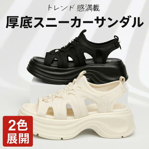 2025ĐVT_fB[X₷X|[cT_؍yʊ~ߒʋCǂɂɂȂJWArXj[J[T_2FWJX|[cT_