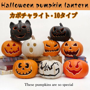 pvLCgJ{`tڂᕵ͋CnEBnEBuڂჂ`[ttC~l[VhЃObYlCIuWF֎q