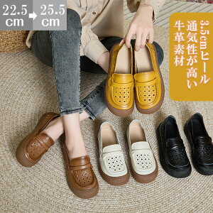 fB[XwlC{v}}V[YJWAXb|[t@[傫TCY₷₷Ȃԗdʋ΃tH[}i[XV[YʋCyʔr_炩pv