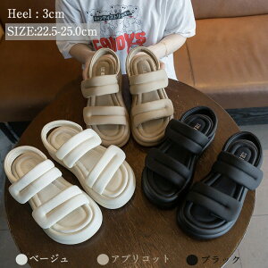 2025Vr[`T_T_fB[X₷X|[cT_؍yʊ~ߒʋCǂɂɂȂJWArXj[J[T_3FWJ