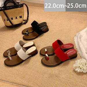 gOT_T_AfB[Xtbg؂񂱃gOT_ɂȂXgbvT_傫TCY₷ItBXx_ďH~[JWArr[`T