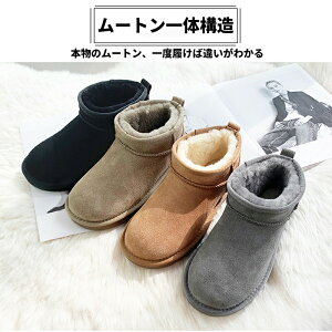 Xm[u[cfB[Xrш̃[gu[cꗠ{Ahۉ~ߖhV[gu[cH~I[XgAYV[vXLu[crhCJWAV[