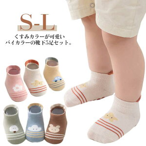 \bNXCLbYLbY\bNXxr[~5Zbgxr[\bNX5Rbgj̎q̎qLbYCxr[CN[qH~5Zbgxr[\bNXۈ牀ct