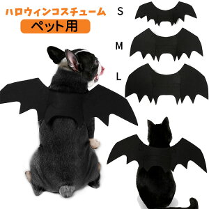 ybgnEB[̉H̃fUCybgp̗LnEBRX`[hbOEFAL肩킢RXvybg蕨ϐgLOBe