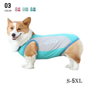 hbOEFAďttďtĕ̕WPbg₷ꏬ^^