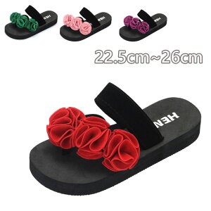 gOT_r[`T_؂񂱌3cmq[fB[Xyʂ킢T_ȂɂȂ₷₷