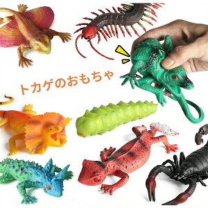 gJQ̂TPRStBMA炨ᓮ঒ރAj}ǂ萶nEBp[eB[ObYv[gW[Nz͏wctv[gMtg