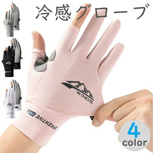 TCNOfB[XYjpO[ug[jOX|[cMLgj[OO[un[ttBK[TCNO[u[hoCNNXoCNTCNO[uĎw؂