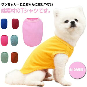 S19FItĂʕphbOEFA^pTVc^TVcLbgEFARbgybg̕TVc^ybgEFAmĕȃybgObYtĕJW