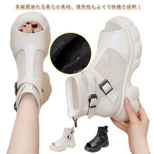 T}[u[c₷I[vgDu[cT_fB[XT}[u[cT_u[crT_₷Ȃėpu[cʋ΃JWA22.5-25cm