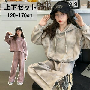 q ̎q ZbgAbv ~ H ㉺Zbg Iu c[EFA t[ht X|[cEFA LbY K[Y p[J[ Opc [EFA W[W  i tH~ W