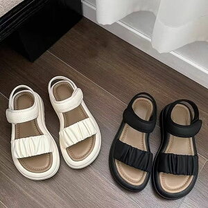 X|[cT_ LbY qC  RtH[gT_ ₷ T_ ̎q WjA y _炩 ɂȂ r[`T_ }WbNe[v X|T C xN 