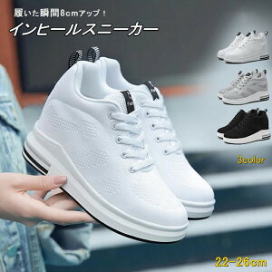 Xj[J[ Cq[Xj[J[ fB[X bV y r r X^CAbv q[Abv V[NbgV[Y 8cm EH[LOV[Y ~hJbg nCJbg g L