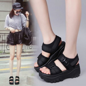 X|[cT_  fB[X ₷ T_ C 5cm RtH[g T_  y T_ ɂȂ r[`T_ C xN Xj[J[ X|[c T_ 