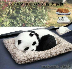 CeA ԗp p_ L  u@RNV@i ԓu ԓp G  ߋ @ԓ Y  ANZ