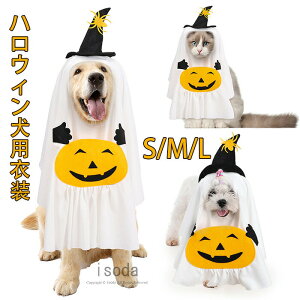  nEB ϐg  H RX`[ L VX^[ J{` ΂ ybgϐg  L RXv ybgp  hbOEFA EȒP ybgEFA RX`[ ^ ϑ 