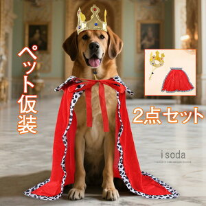  nEB RX`[ L l ql |` }g   L RXv ybgp RX`[  hbOEFA EȒP 蕨 ybgEFA RX`[ ^ ϑ 