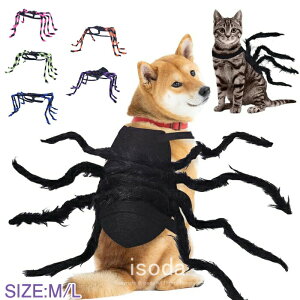 nEB RX`[ w L  Nϐg w RX`[ N̑ ^` N RX`[  hbOEFA RXvߑ ObY  ϑ ybg L p ^