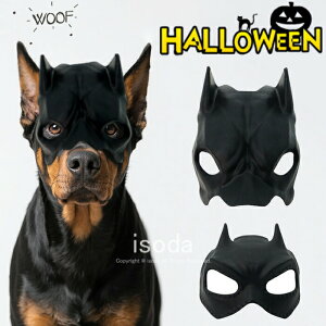 nEB RX`[ RE  L RX`[ }XN obg  RE ybg    RXvߑ L}XN }XN ^ RX`[  ϑ  