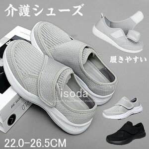 V[Y fB[X L y @V[Y  C nrV[Y Xj[J[ ₷ ₷  [V[Y C  V[Y RtH[gV[Y 