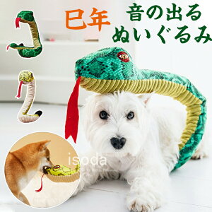   ̏o ʂ wr ֌`  wr RXv ֕ N 蕨 ^ ^ ^ XgX ybg  pXk[h 2025N x N  ނ 