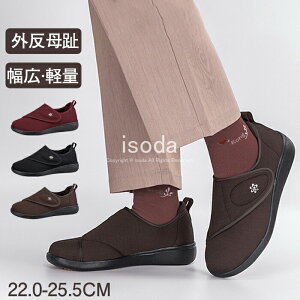 V[Y fB[X RtH[gV[Y fB[X L y ʃt@Xi[ nrV[Y fB[X ₷ ɂȂ O Ƃ C  fB[X 