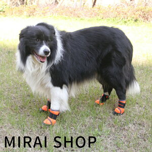 ^ ybgpC ybgV[Y hbOV[Y h Ro y ₷ 񒲐߉ u[c