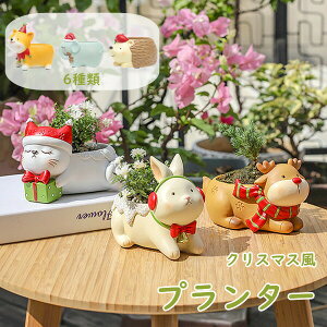  Aؔ A NX}X giJC  lR ETM  nlY~ O CeA 񂹐A u  v^[ Aj} 킢 ̓ ~j   RP