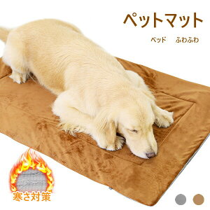  xbh }bg ӂӂ 2color NbV ybg}bg H~  ^ p Lp {A PA}bg Q ybgObY pi ѕzc  Vv p p h 