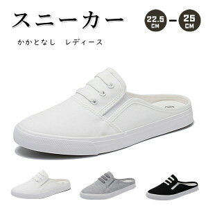 ƂȂ Xj[J[ fB[X Xb| LpX V[Y ʋC y j[J[ EȒP ~ ₷ ʋ ʊw JWA zCg O[ ubN 22.5-25cm