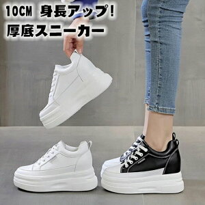 V[NbgV[Y fB[X 10cm gAbv C fB[X Xj[J[ C V[Y EH[LOV[Y _bhXj[J[ fB[XV[Y tďH~ ۉ ʋC w