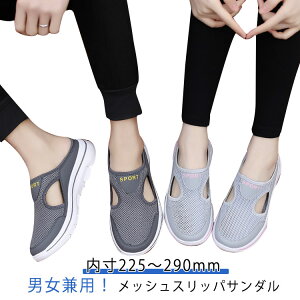 Xb| Mtg ₷  bV Y Xj[J[ ƂȂV[Y T{ T{T_ T_ ̓ y  Oo y ̓ fB[X hV̓ Xbp