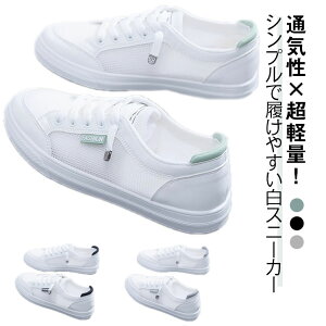 Xj[J[ ɂ bV H~ L Xj[J[ ₷ O Xj[J[ ₷  b JWA r C\[  y t fB[X y ʋ ʊw 