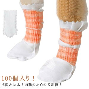 h~ pC ̌C  C sDz ĝ ĝău[c _炩 ybg ho Jo[ C Jo[ hbOu[c U h ybgC ی ی ̌C ̃V[Y PKh