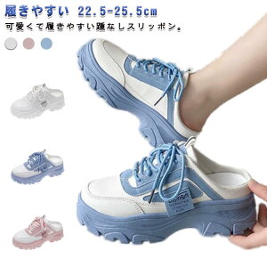 fB[X ƂȂXj[J[ T_  Xj[J[ Ȃ Xb| IV t  H ʋ d ʊw C Ȃ y ₷ Ȃ