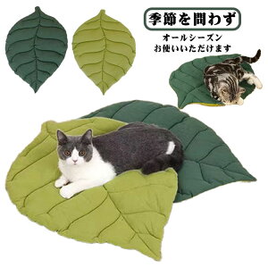 ybgpi [΍ ybg  ybgp xbh Lp L  ybgpi ybg}bg p g[Ή tďH~ 킢 V[g ybg}bg pi Lpi _炩 ť`  }